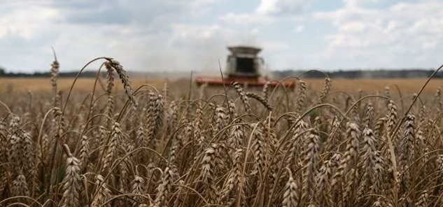 Модель экспорта украинского зерна была представлена как решение проблемы с поставками удобрений из Ормузского пролива