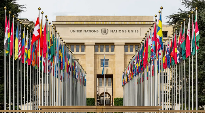 Тайный сговор или принцип? Почему РФ, Китай и Франция против резолюции