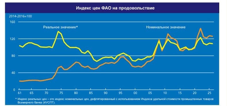 Сколько ещё продержится рост продовольственных цен — и при чём тут нефть