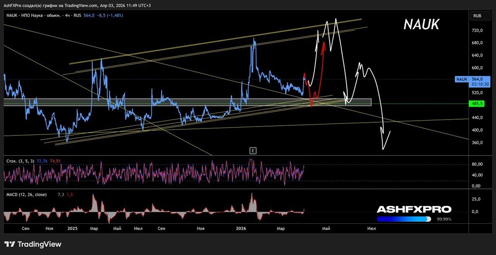 Акции НПО «Наука», видимо, хотят сделать неплохой отскок