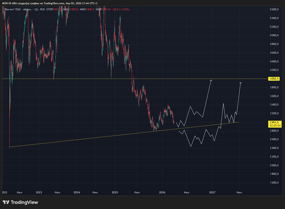 Тайные причины кризиса Магнита: почему компания в убытке при росте рынка