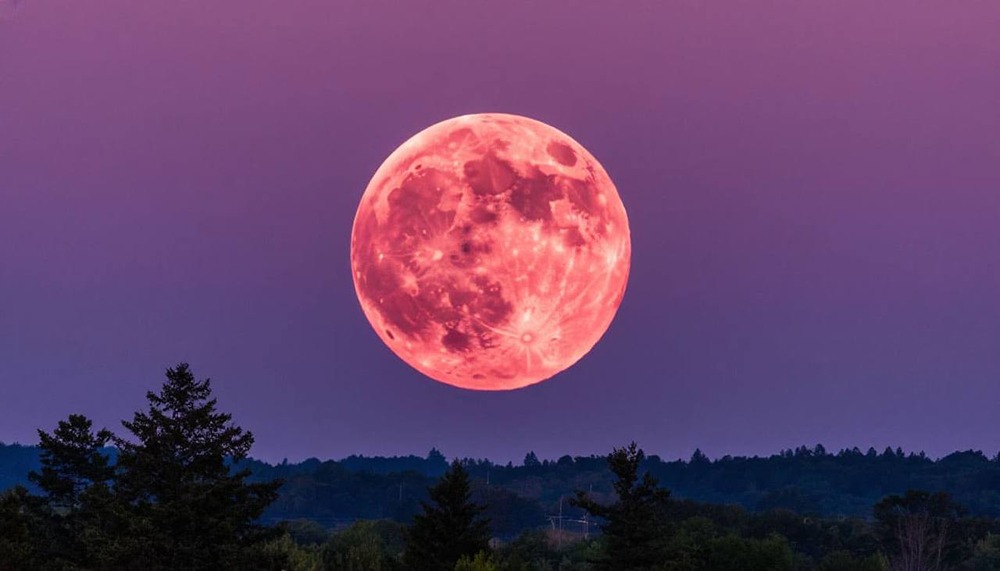Над Россией уже сегодня ночью можно будет увидеть «Розовую Луну»