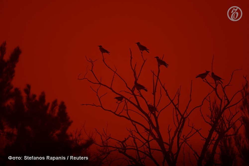 Оранжевое небо Крита: что скрывает пыльная буря из Сахары?