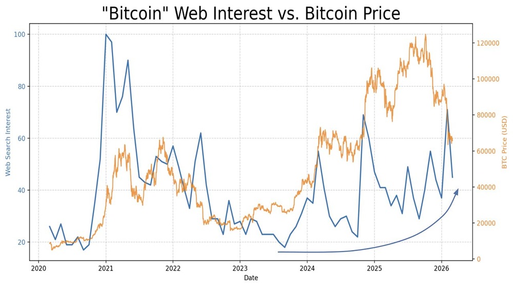 Интерес к биткоину в веб-поисках неуклонно растет с конца 2023 года