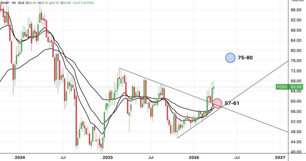 Сможет ли ДВМП дойти до 75–80 ₽? Разбираем уровни поддержки и цели роста