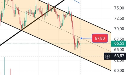 Скрытый потенциал: почему 63,57 руб. может стать точкой роста для акций Мечела?