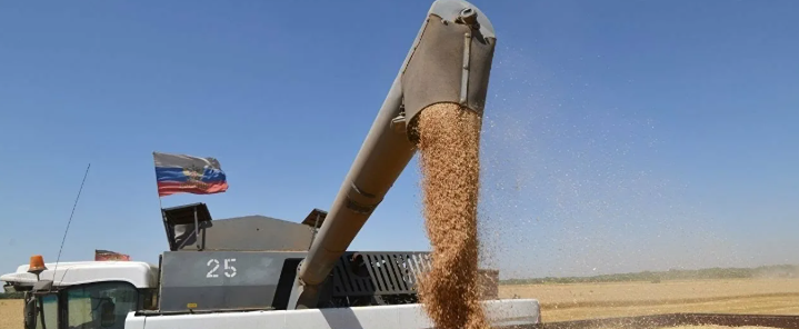 Рекорд России по зерну: что стоит за ростом экспорта в марте 2026‑го?