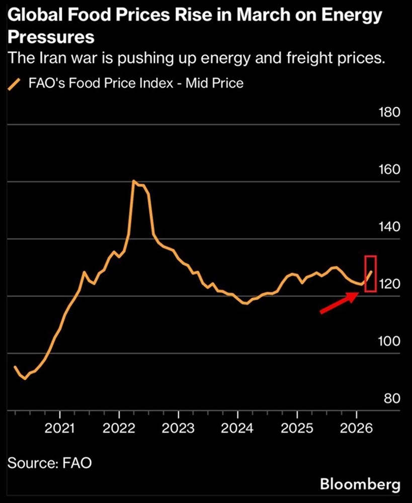 Мировые цены на продовольствие растут на фоне резкого увеличения затрат на энергоносители