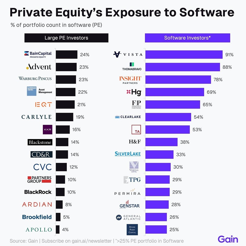 Вложения частных инвестиционных фондов в сектор программного обеспечения