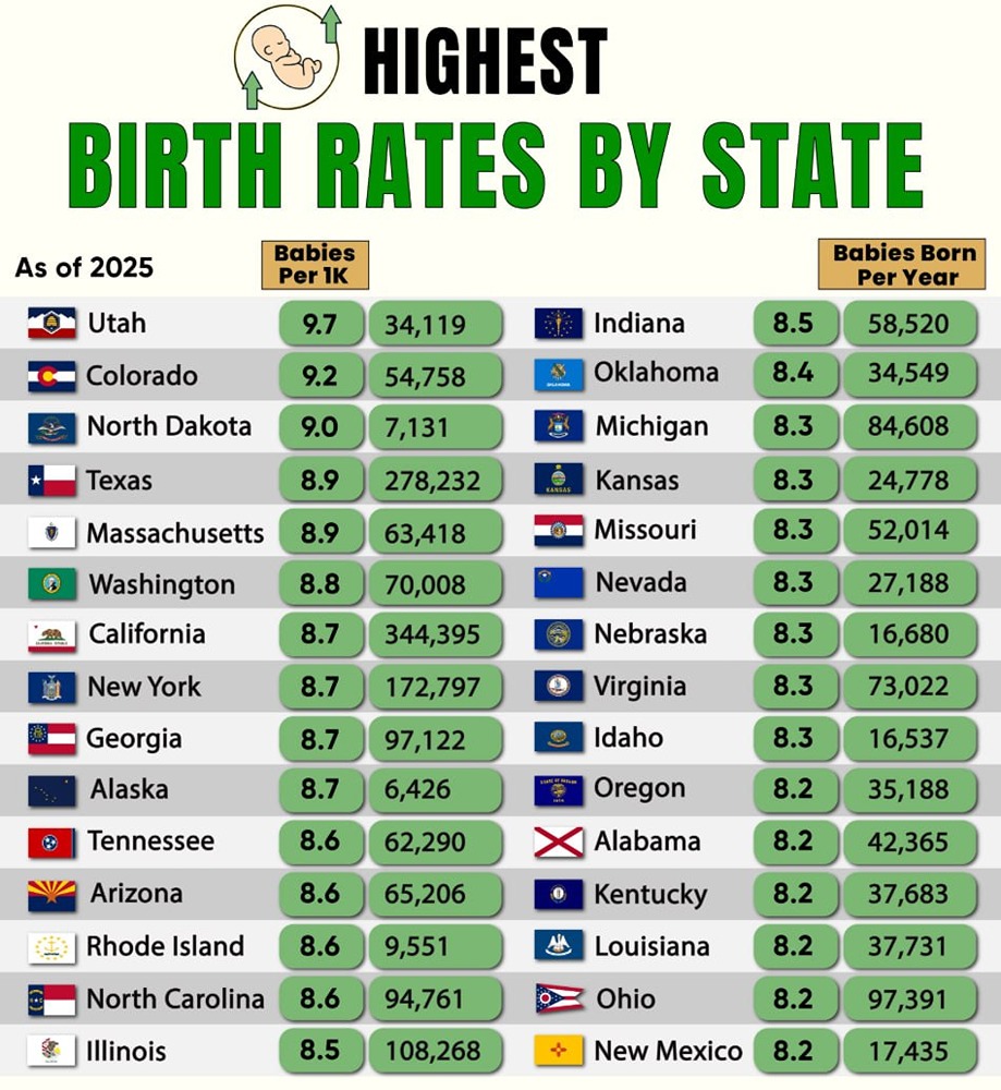 Самые высокие показатели рождаемости по штатам США за 2025 год