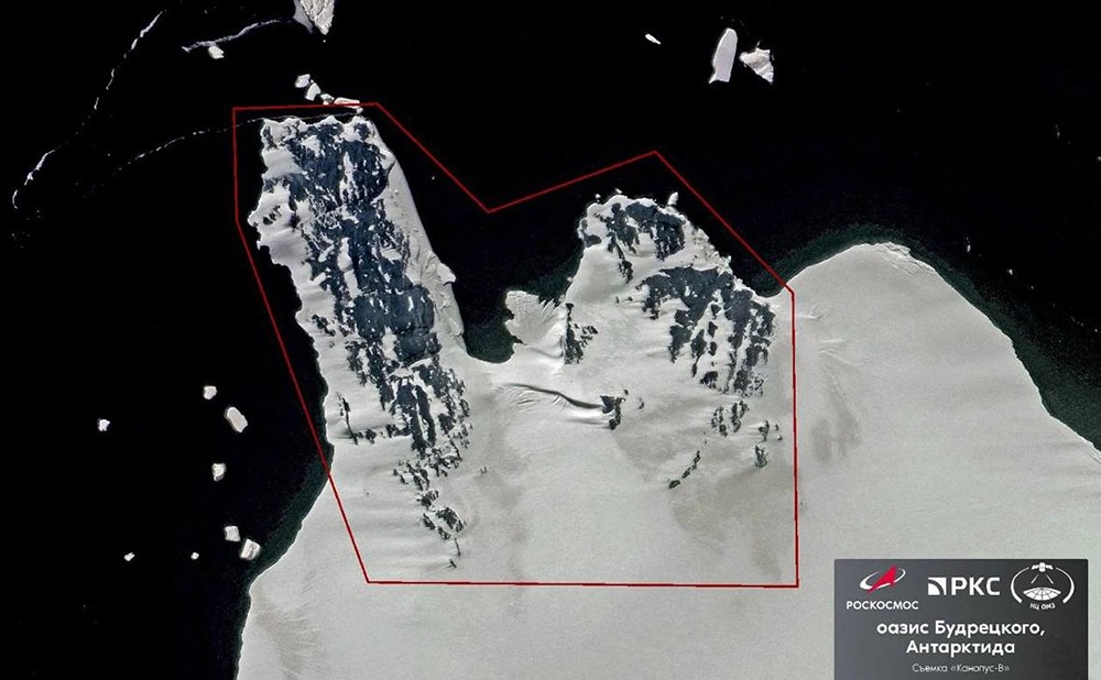Новый оазис в Антарктиде: открытие российских исследователей
