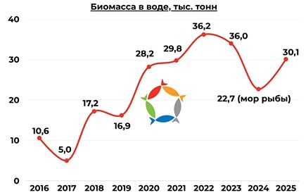 Инарктика: убыток −2,2 млрд руб. — стоит ли покупать акции сейчас?