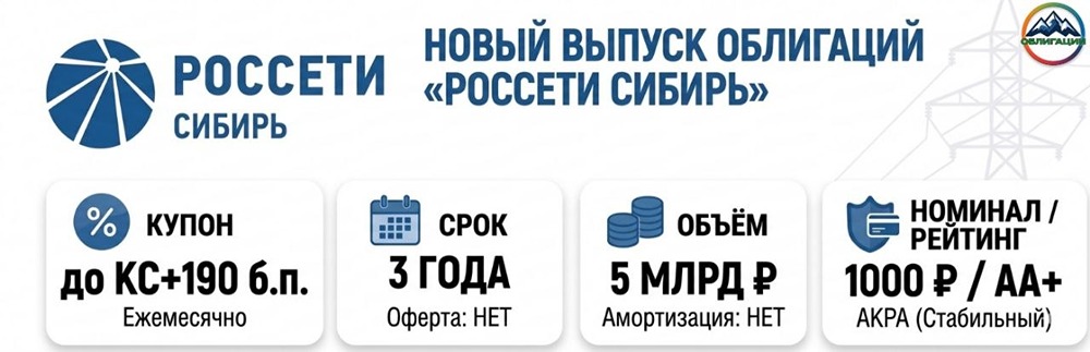 Ежемесячный купон 16,9 % — новый флоатер «Россетей Сибирь»: что важно знать?