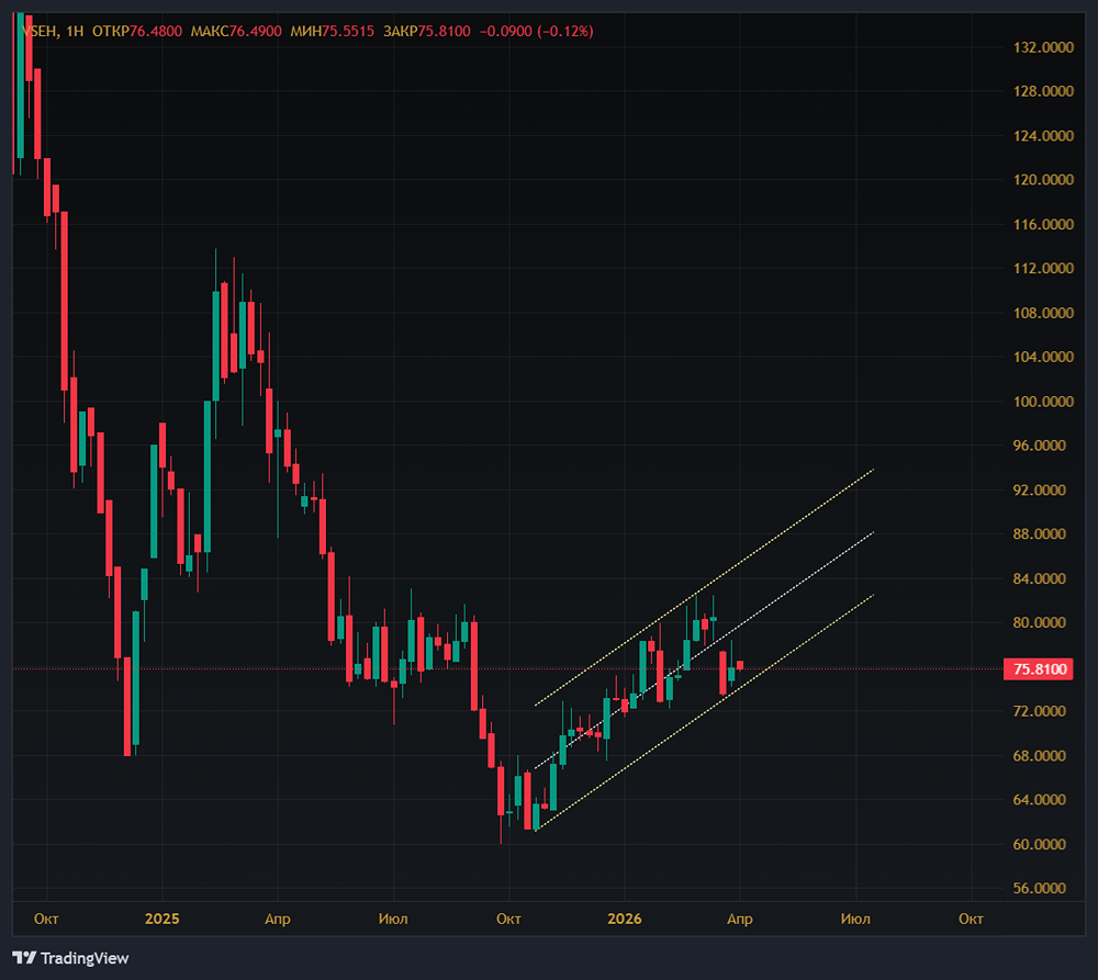Стоит ли инвестировать в «ВсеИнструменты.ру» с дивидендами 6 руб. на акцию?