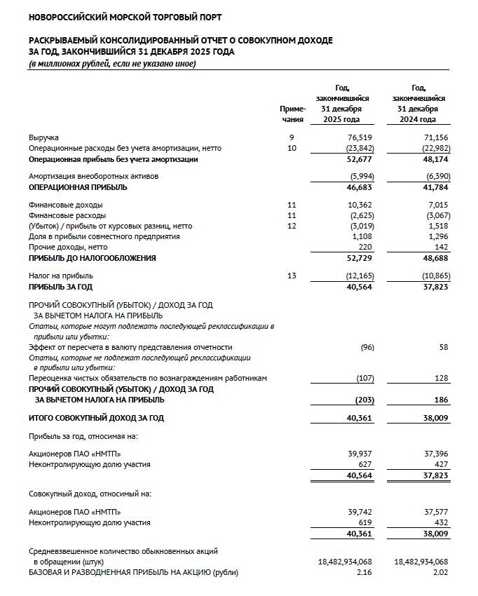 Тайный запас: 23,7 млрд руб. на балансе НМТП — хватит ли на дивиденды