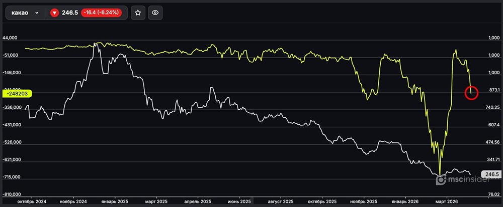 Какао: юрлица стремительно наращивают чистый шорт