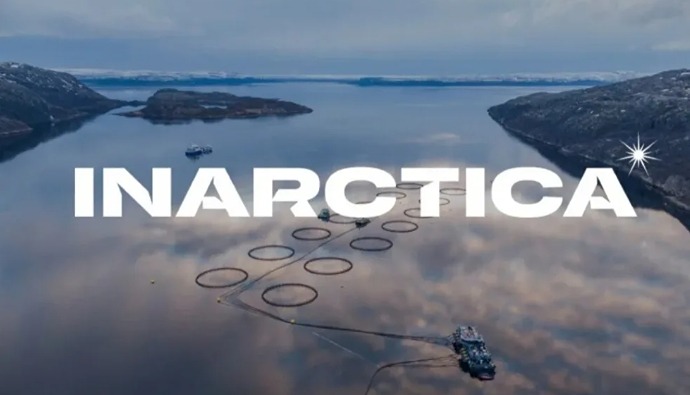 Справедливая цена акции «Инарктики» — 350 руб.? Разбираем фундаментальный анализ