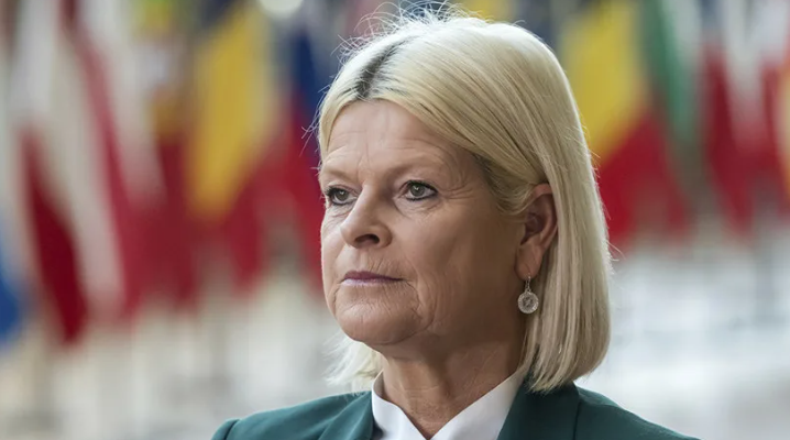 Парадокс безопасности: Германия в сложностях, Австрия — с призывом