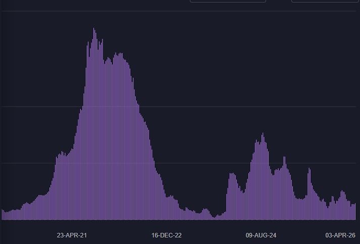 Выгодно ли инвестировать в ДВМП сейчас? Финансовые результаты 2025 года