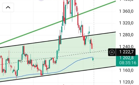 Где разворот? Акции «Новатэка» после дивидендного гэпа