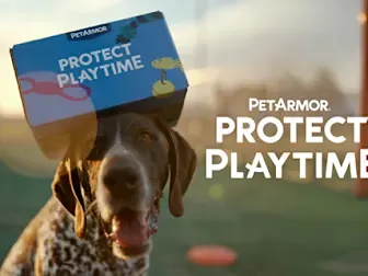 Amazon использует искусственный интеллект, чтобы помочь людям найти идеальных собак и кошек