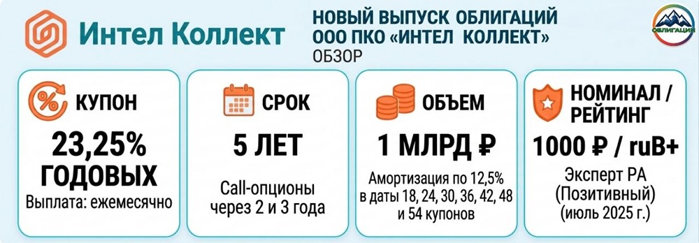 Облигации под 23,25 %: почему ИнтелКол-БО-02 — это риск или шанс?