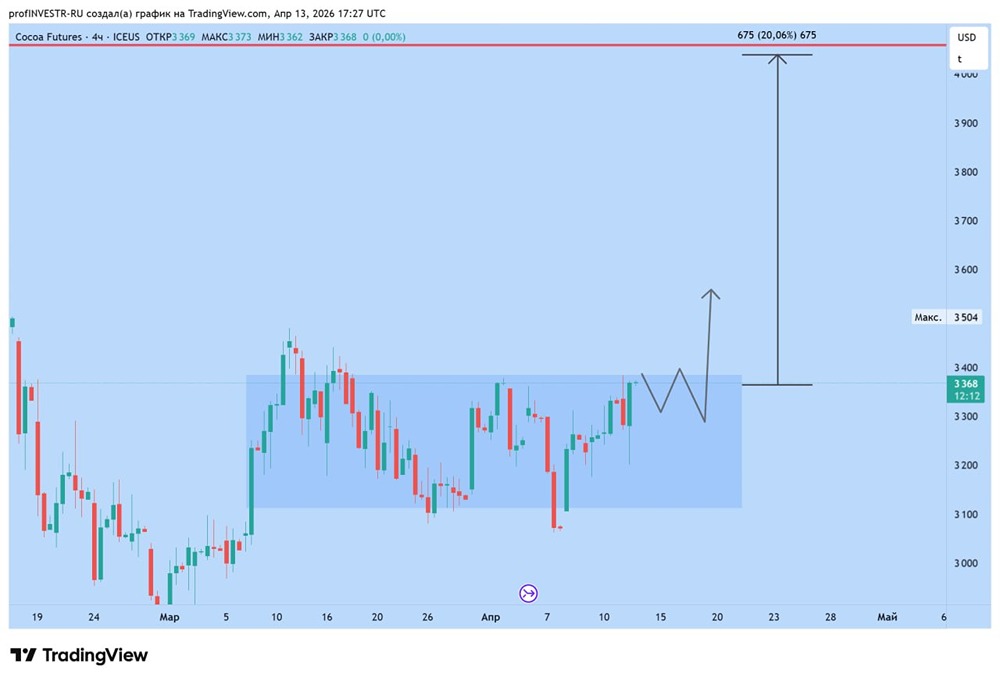 Неожиданный фаворит: почему какао может взлететь на 20 %