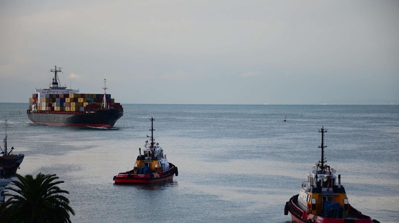 Как Грузия борется с санкционными нарушениями: цифры и факты