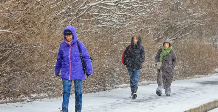 В ночь на субботу в Московскую область вернулись заморозки