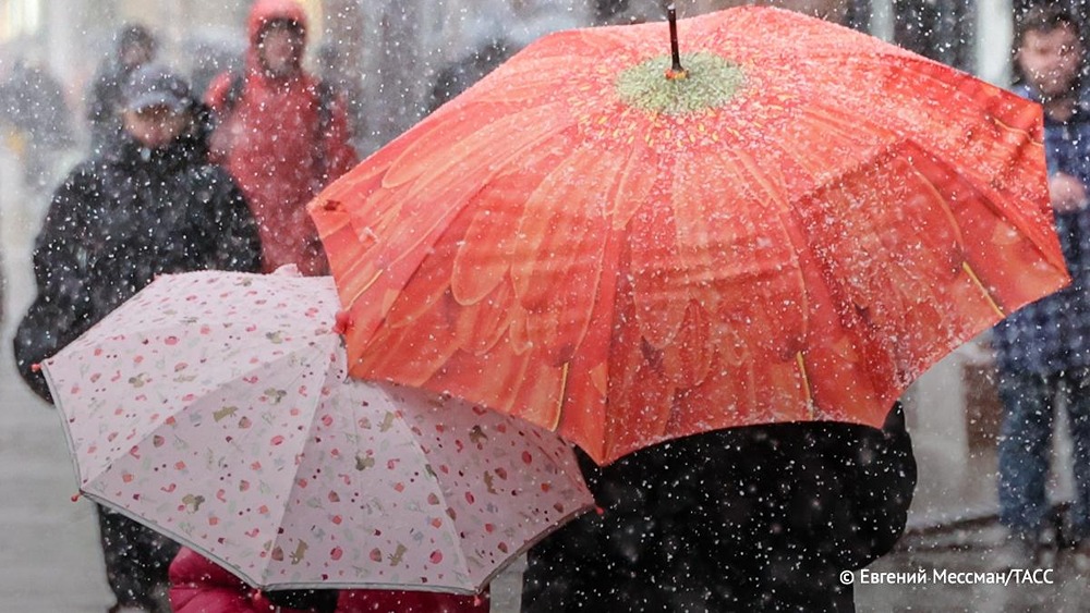 Заморозки и небольшие осадки с мокрым снегом ожидаются предстоящей ночью в Московском регионе