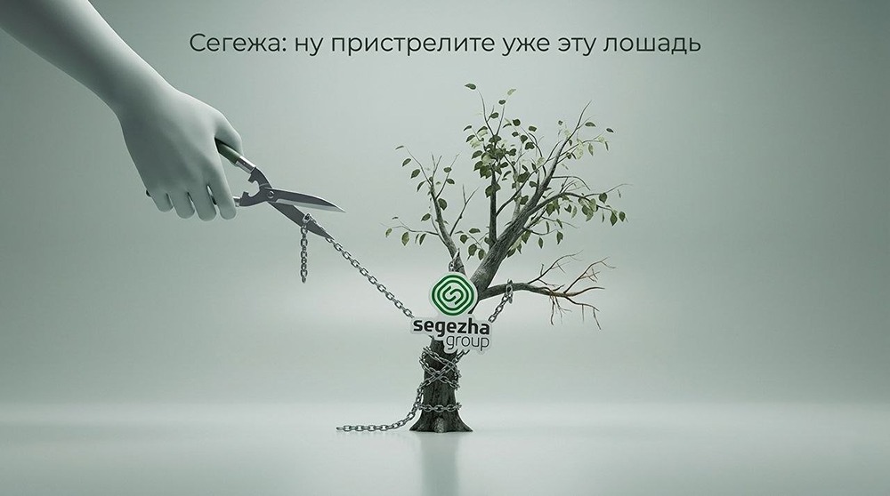 «Сегежа» в убытках: стоит ли ждать помощи от АФК Системы или компания обречена