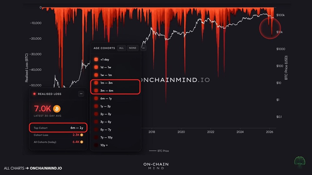В ходе этого медвежьего рынка биткоин понес самые крупные в своей истории реализованные убытки