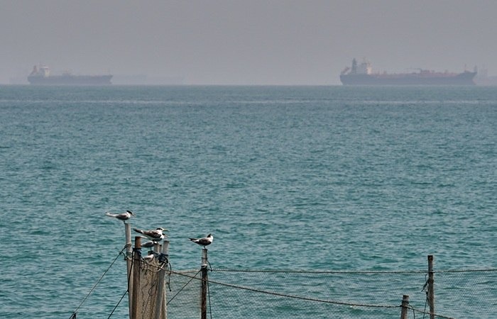 Только 16 судов прошли в понедельник через Ормузский пролив