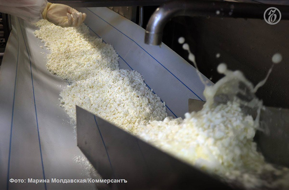 В твороге «Савушкин продукт» и «Смолевичи Молоко» нашли токсичное вещество