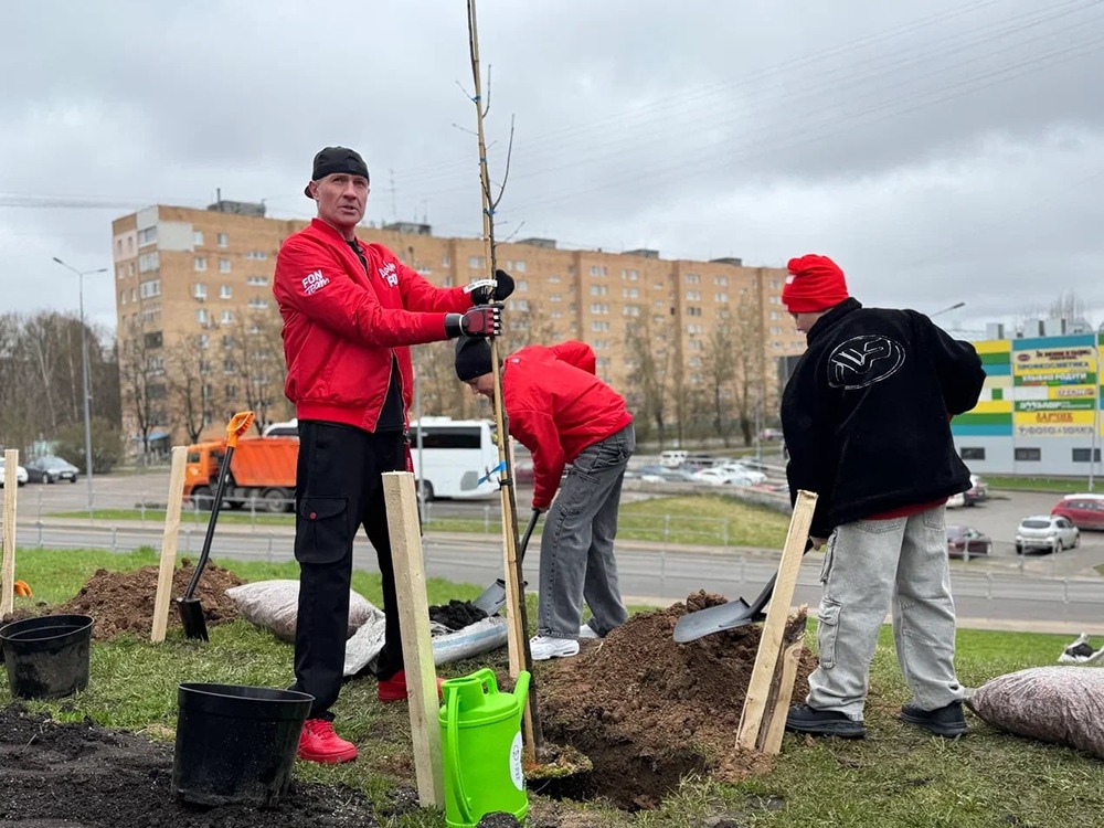 В Можайске высадили 85 лип в рамках акции «Сад памяти»