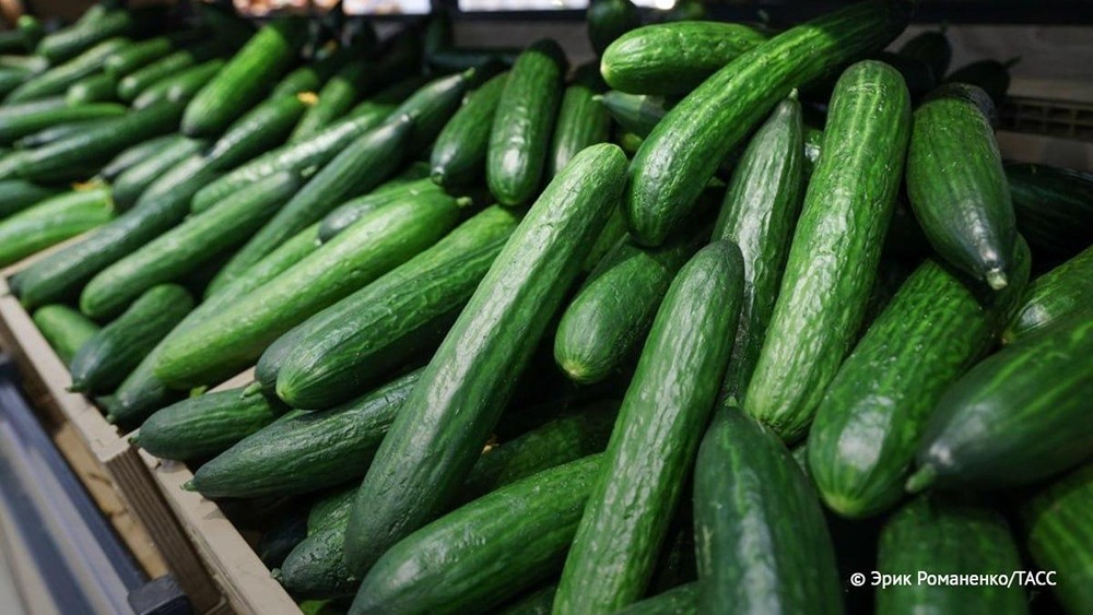 Огурцы подешевели больше всего среди продовольственных товаров с начала года