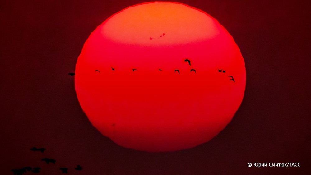 Вспышка класса М, ставшая четвертой за день, зафиксирована на Солнце, рассказали ТАСС в ФГБУ «ИПГ»