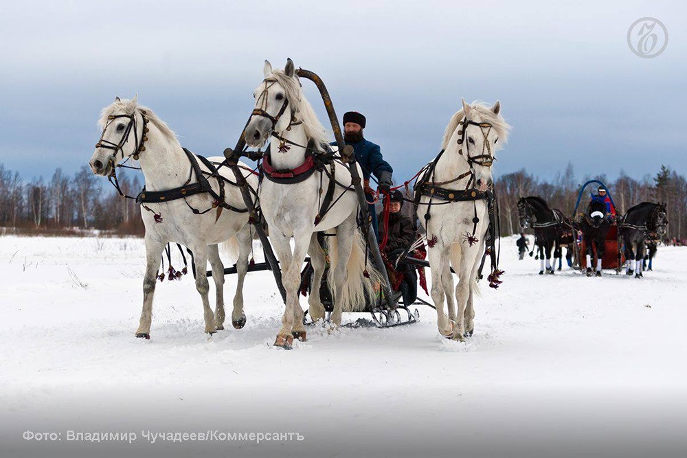 Русская тройка должна быть национальным видом спорта