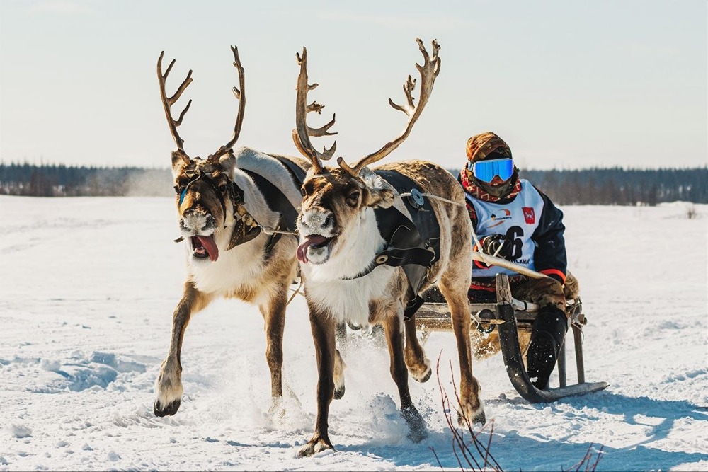 «Роснефть» поддержала День оленевода в посёлках Носок и Советская Речка