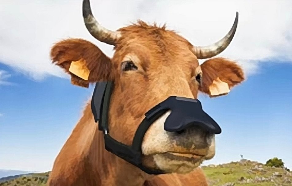 Урсула фон дер Ляйен хочет, чтобы все европейские коровы носили маски