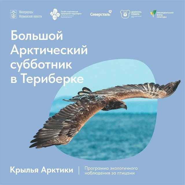 КСО-дайджест: бюджет, воспитание и Арктика — практические рекомендации и инициативы
