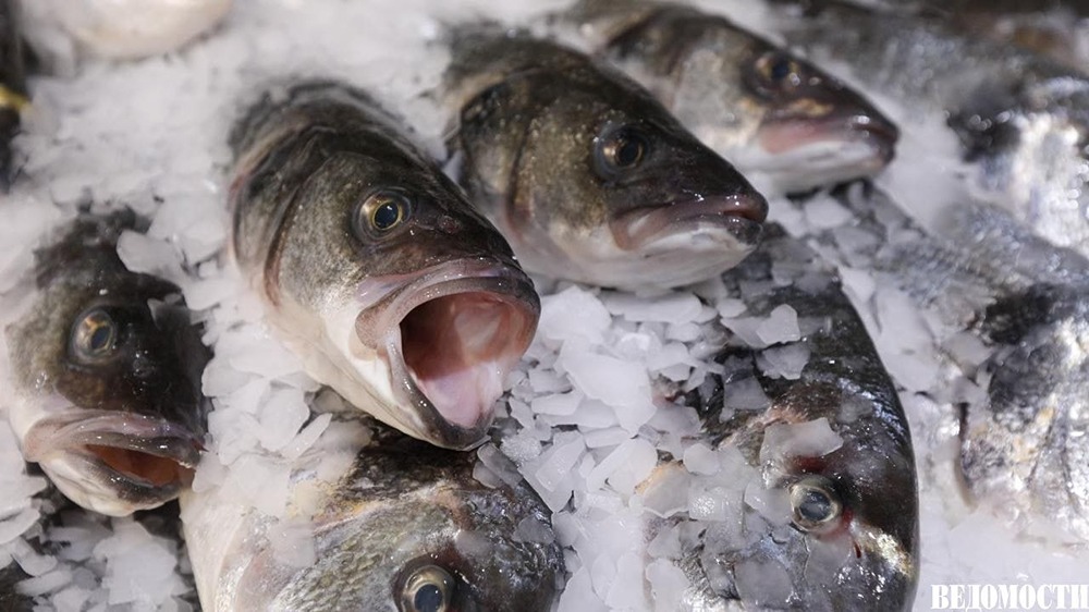 Экспорт мороженой трески из России вырос на 37%