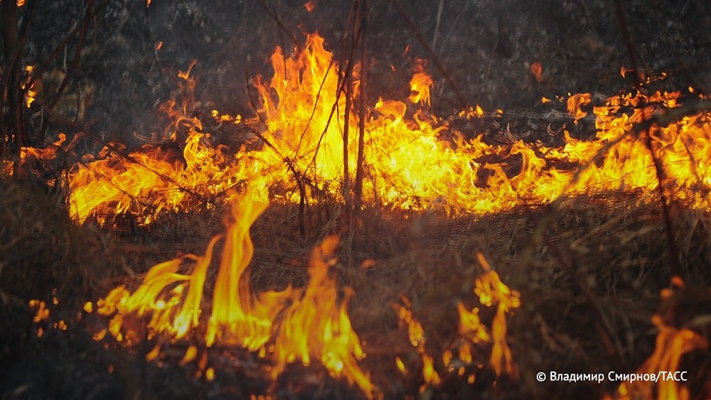 Поджог сухой травы не является законным способом очистки территории, это запрещено законодательством РФ