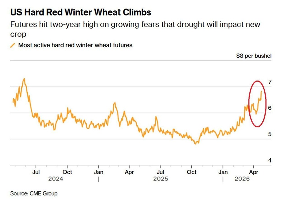 Цены на пшеницу в США резко выросли
