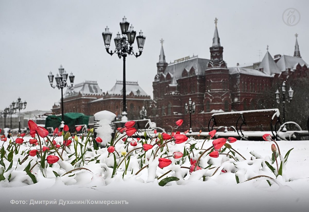Первые последствия апрельского снегопада в Москве