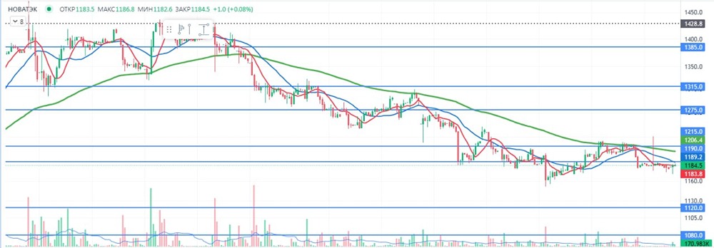 Акции НОВАТЭКа: стоит ли покупать на падении?