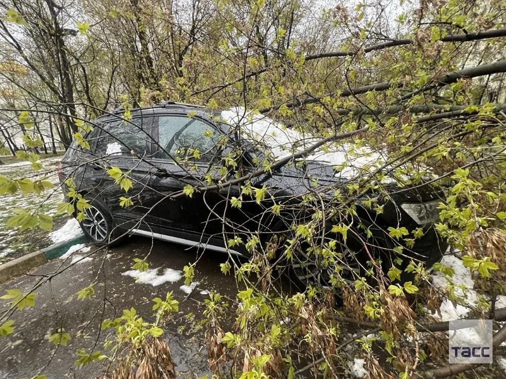 Снегопад в Московском регионе соответствует климатической норме