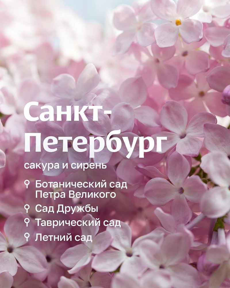 Аэрофлот поздравляет с Праздником Весны и Труда