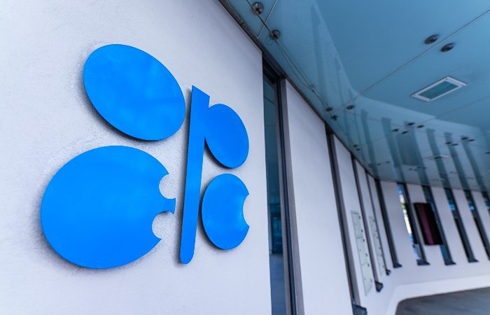 Новак развеял страхи по поводу выхода ОАЭ из ОПЕК+