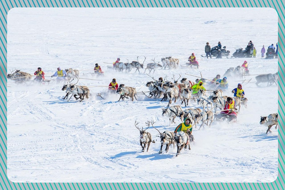 Жители Носка отметили День оленевода и новый праздник — 30 апреля